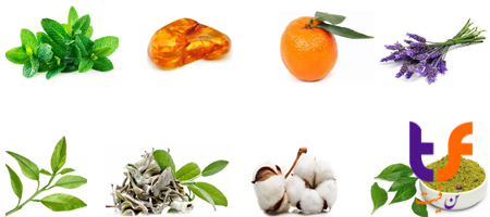 رایجه نت های بولگاری آکوا پور هوم